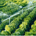 smart water management 2025