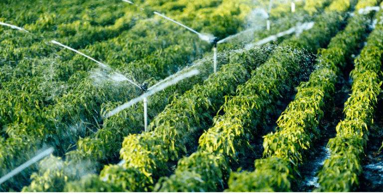 smart water management 2025