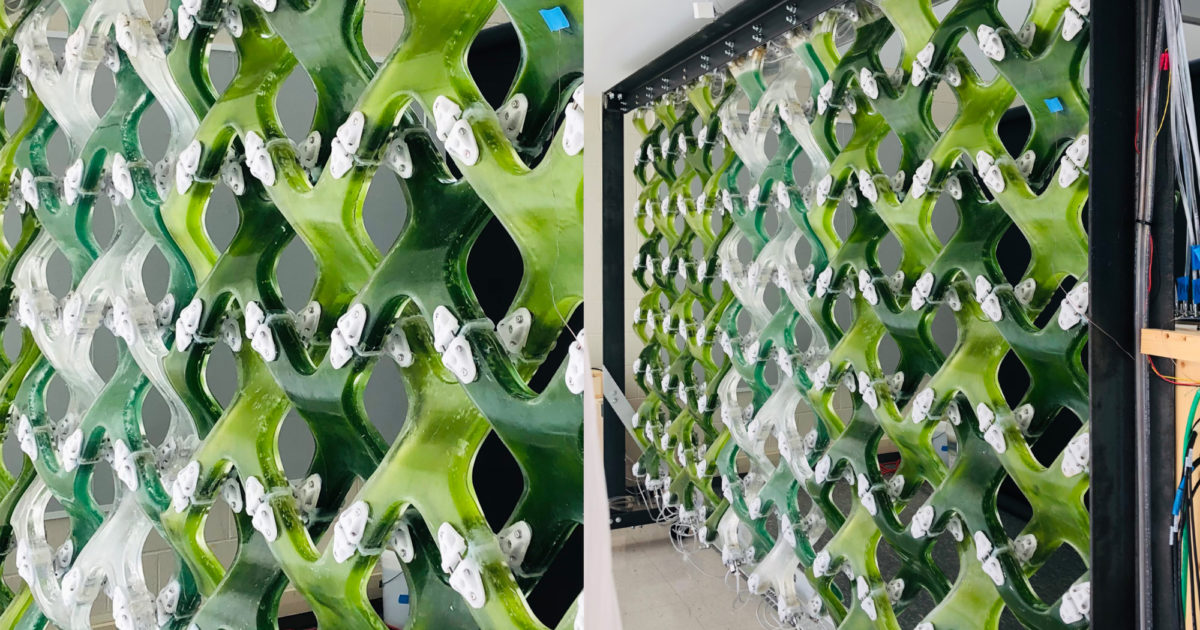 fasad bangunan dengan panel bioaktif menyerap CO2